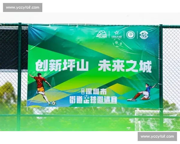 洪超苏超解说封神:田埂稻穗见证草根足球的诗与远方 洪超苏超解说封神:田埂稻穗见证草根足球的诗与远方