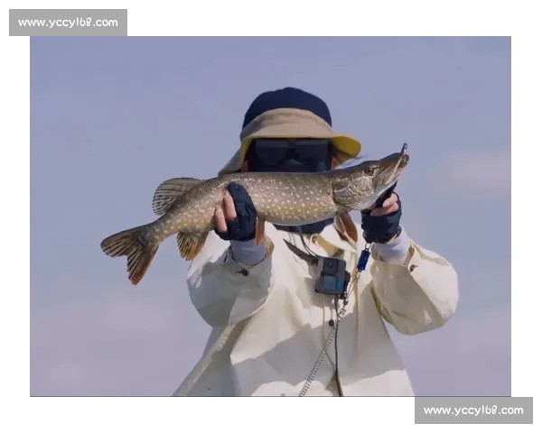 辽宁钓友钓 20 斤大鲅鱼反被咬伤 海洋 隐形杀手 暗藏风险